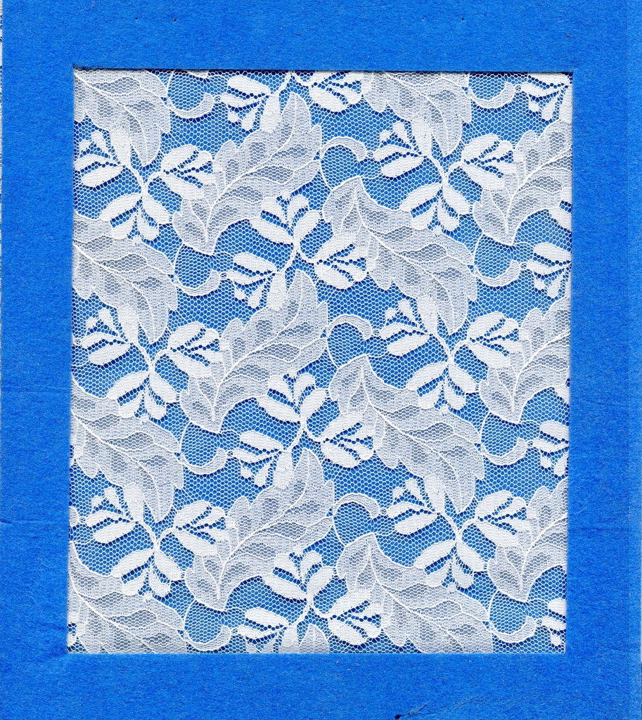 TEJ.ENCAJE BLO.1029