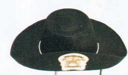 [P703055] SOMBRERO NIÑO RINTINTIN 707