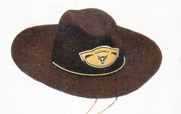 [P703103] SOMBRERO COW-BOY 702