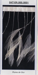 FLECO PLUMAS+ROCALLA 47109
