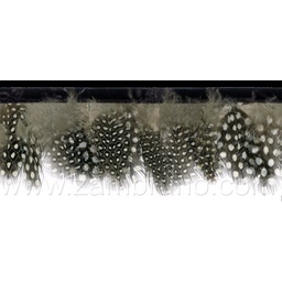 [P896032] FLECO PLUMAS 3505
