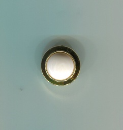 BOTON ORO+NYLON 662