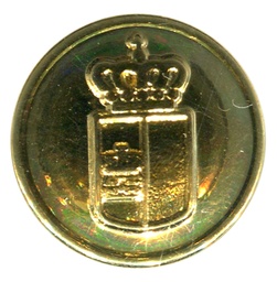 BOTON METAL CASTIL.MANCHA